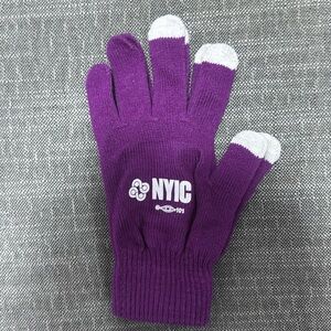 Winter Purple Gloves